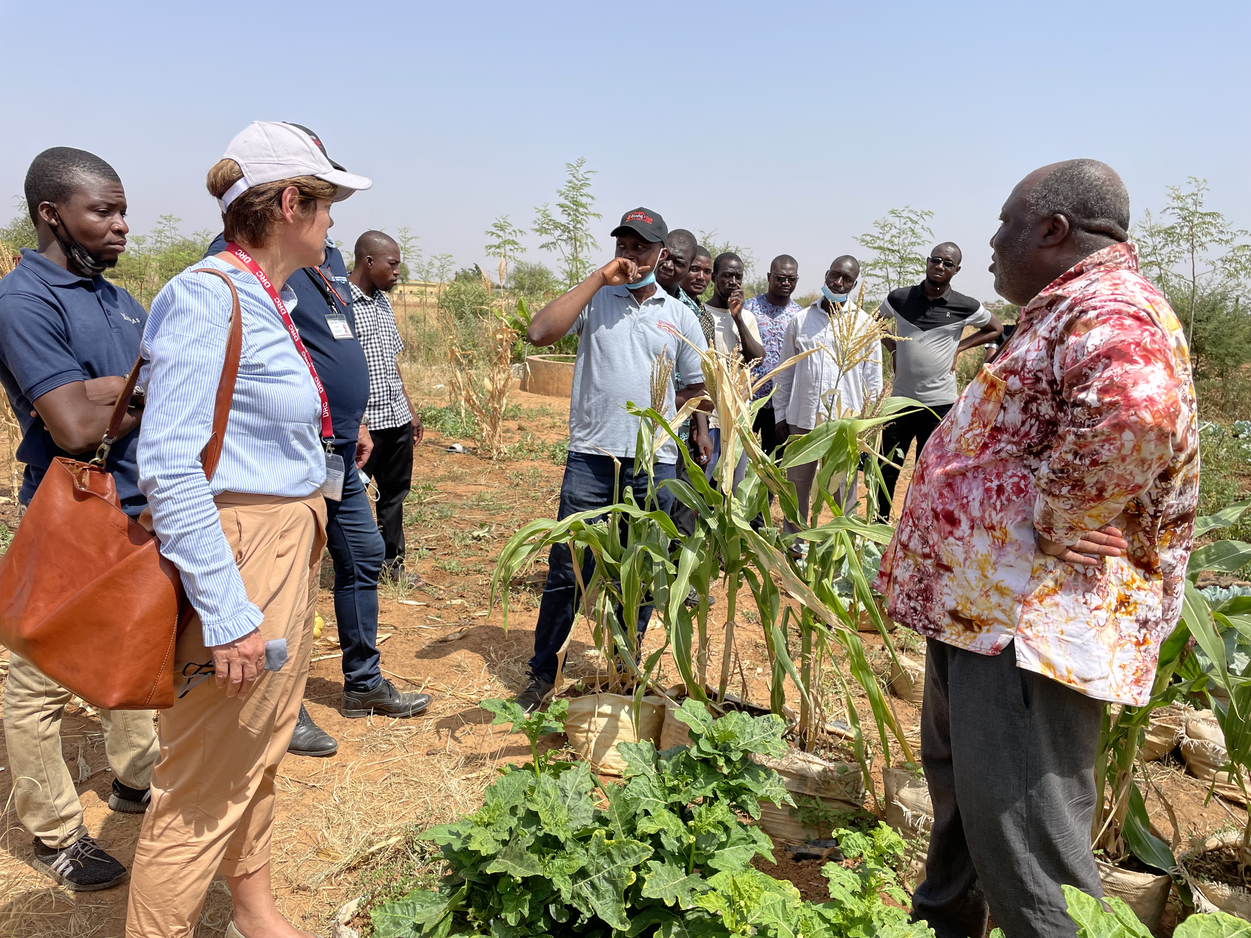 DRCs carbon accounting commitments