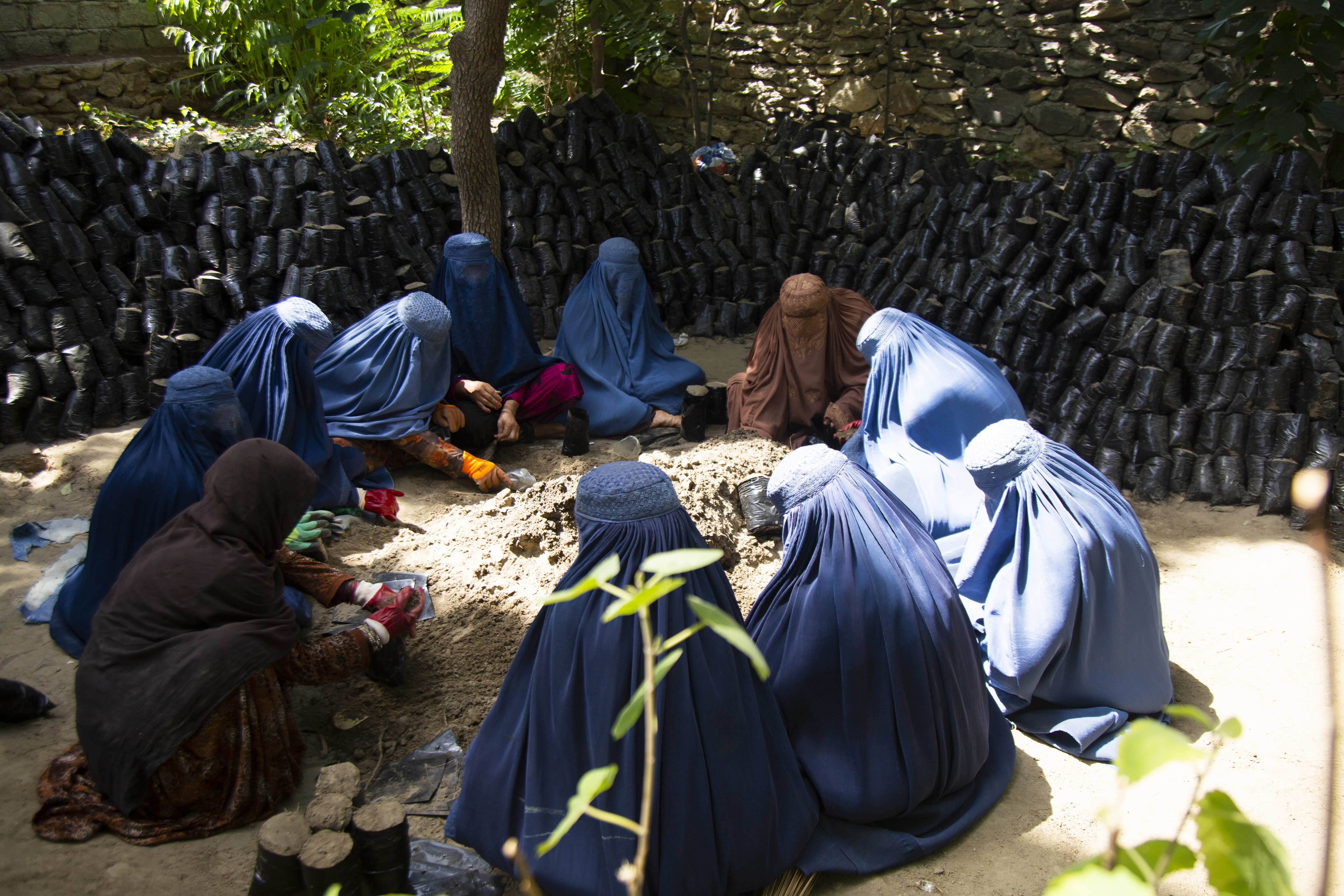 Afghan women working together at a plant nursery in Kunar province. Photo // DRC