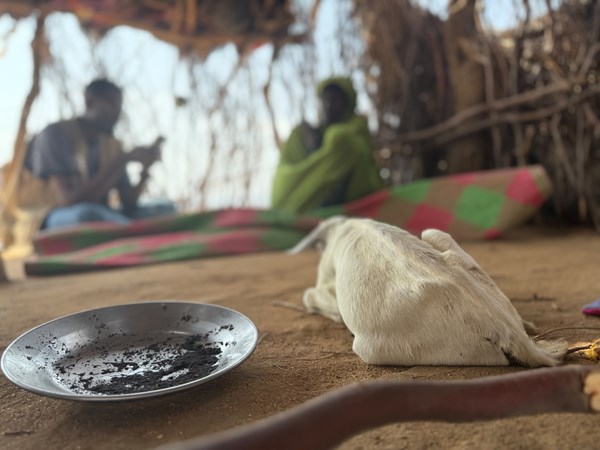 Inside a makeshift shelter in drought-affected Lughaya. In the background, Halimo pictured with a DRC staff member.