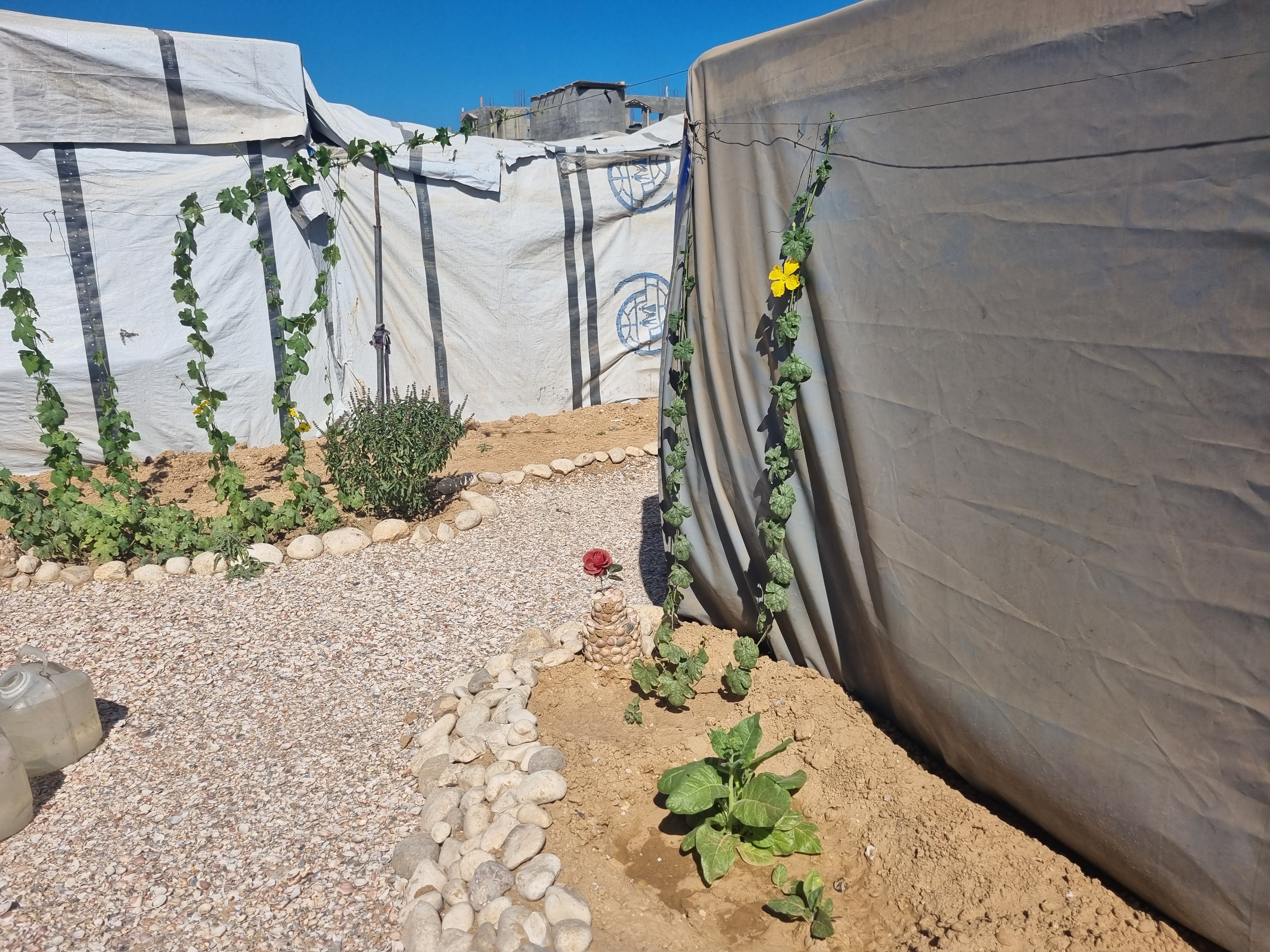 Meet Abu Khaled - Where the Seashells Meet the Dust of War